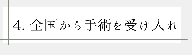 LP (13)
